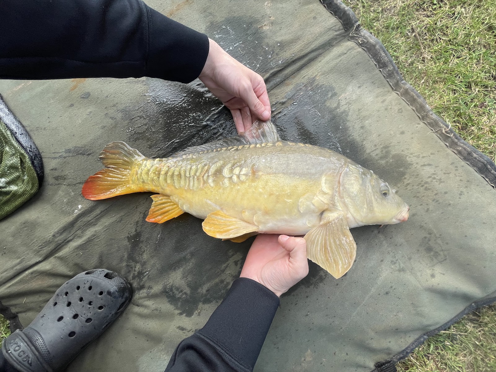 Fishing Lakes & Ponds in Maltby le Marsh — Oham Lakes