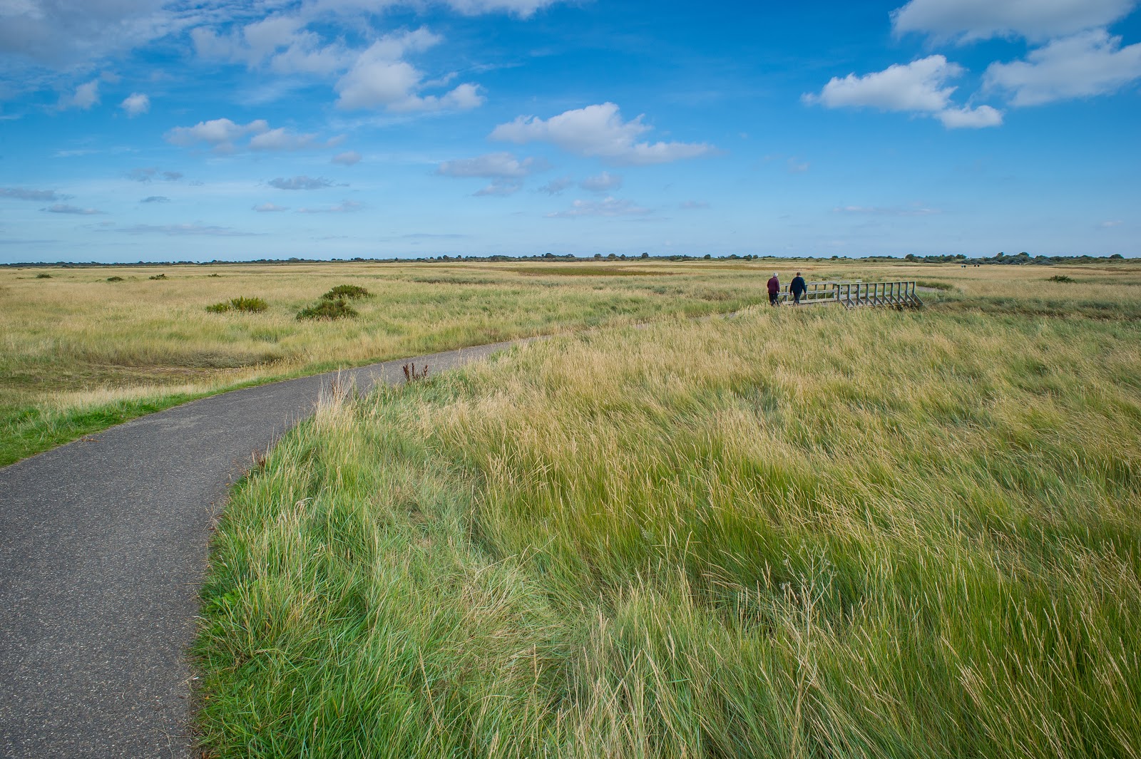 Dog Friendly Places in Skegness — Gibraltar Point Dog Walks